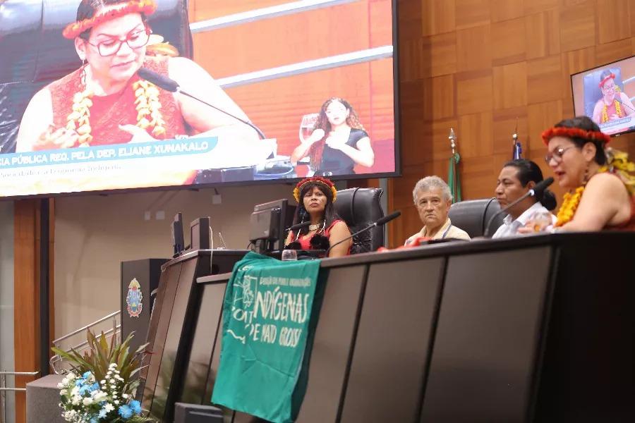 Audiência pública discute caminhos para fortalecer economia indígena em MT