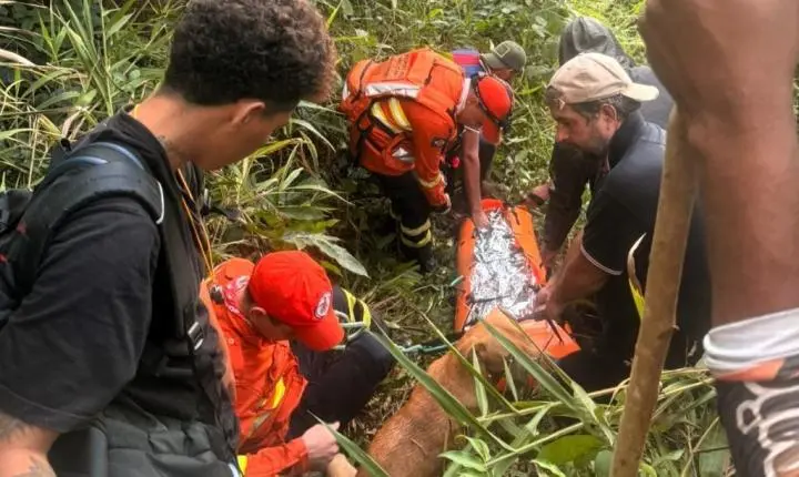Bombeiros resgatam mulher com vida após vários dias perdida em área de mata